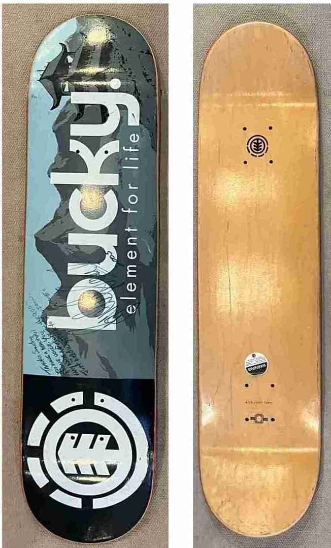 Bucky Lasek 2005 Element Snow Lion Skateboard Deck